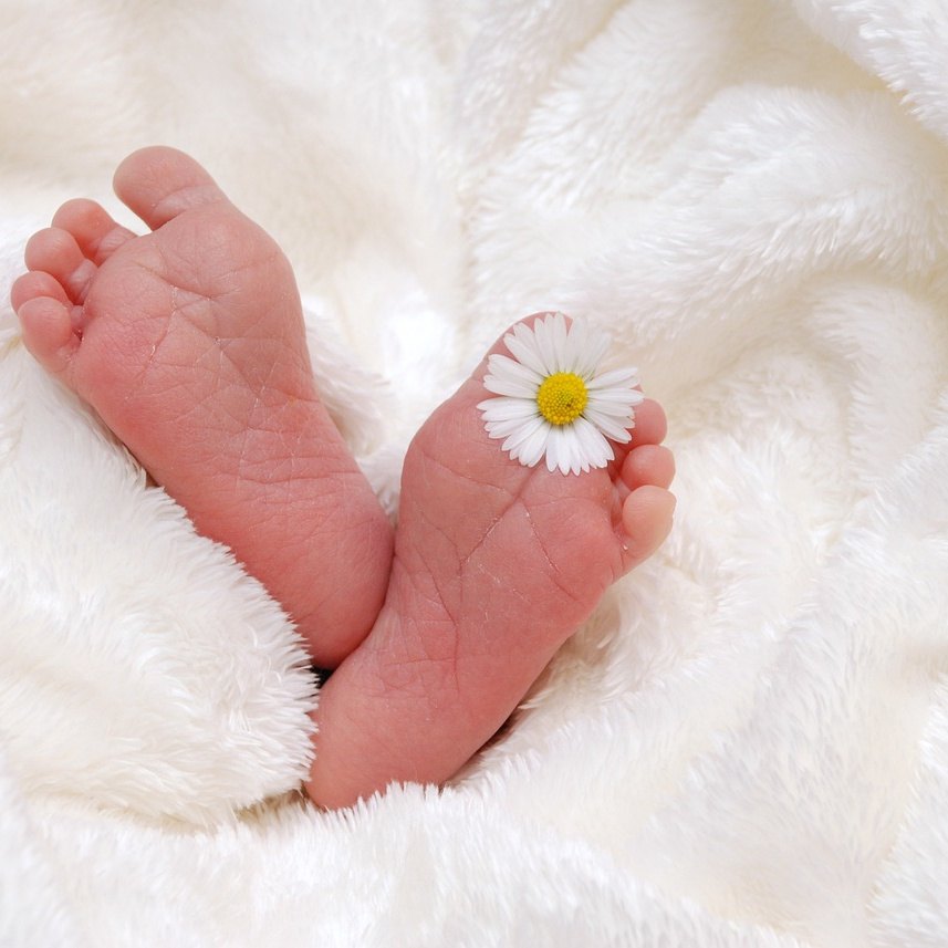 feet-718146_1280
